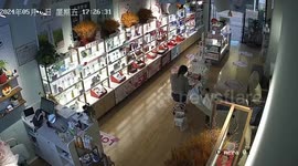 Cat burglar steals bag of treats from pet shop