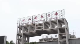 Vietnamese coconuts enter SW China's Hekou Port through 1st land shipment