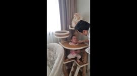 Child rescued after head gets stuck in cat's play area in Thailand