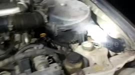 Huge wild cobra caught in car engine in Thailand