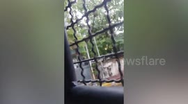 Korean drug smuggler sparks outrage as he livestreams from Thai prison