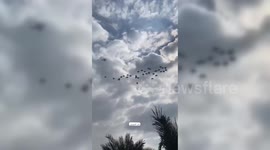 Palestine: Planes drop humanitarian aid boxes west of Khan Yunis