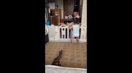 Terrified toddler runs from toy Tyrannosaurus Rex dinosaur