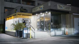 US, Los Angeles: Sherman Oaks Window Smash Burglary