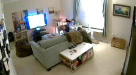 Cat Jumps onto wall and gets stuck hanging on crown molding