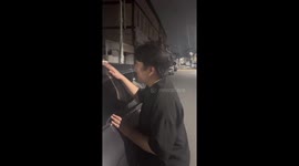 Driver politely asks stray cat to get off car roof