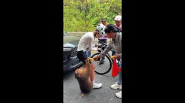 Monkey grabs cyclist's shorts and refuses to let go