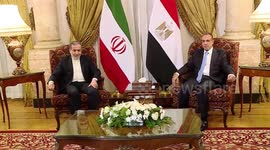 Egyptian, Iranian FMs discuss regional developments, warning against wider war