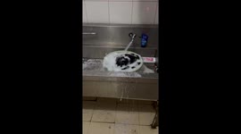Clothes in basin spin round simply by force of the tap