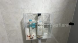 DIY eccentric turns toilet cistern into a clear fish tank