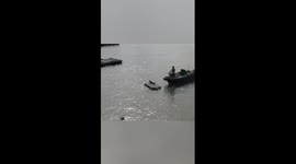Rare spotted seal rescued in China's Guangxi