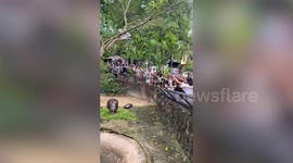 Beauty queen hopefuls visit baby hippo star Moo Deng at Thai zoo