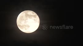 California: Hunter's Moon peaks over Oceanside, CA