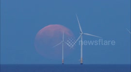 Spectacular Hunter's full Supermoon seen with Kent windfarm, UK