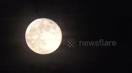 US: Hunter's Moon peaks over Oceanside, CA