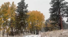 US: Storm System Brings Heavy Snow To Parts Of Colorado 2