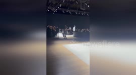 US: Bloodied PETA Activist at Armani Show Demands End to Wild Animal Skinning