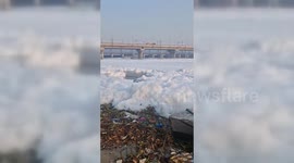 India: Toxic foam floating on the Yamuna River in Delhi