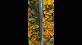 Amazing autumn drone footage, located at Latvia, Sigulda. 4k 30fps