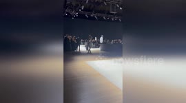 PETA activist hits Armani fashion show in protest over animal skins