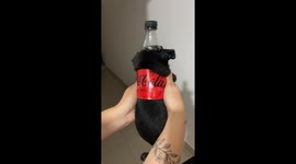 Coca-Cola pug: Tiny pug in fizzy fashion