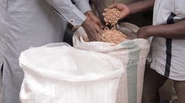 Nigeria: Rising bean prices exacerbate food insecurity in Nigeria