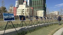 Mongolia emphasizes snow leopard protection