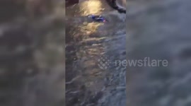 Italy: Italian Lady Rescue Elderly Man from Floodwaters in Sicily