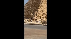 Dog Climbs Down From Great Pyramid of Giza