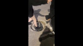 Man Falls Through Hole In the  Ground