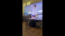 Dog licks steak on TV in Dnipro