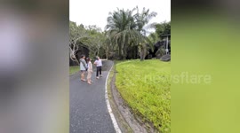 Tourist sparks outrage by firing SLINGSHOT at animals inside Moo Deng zoo