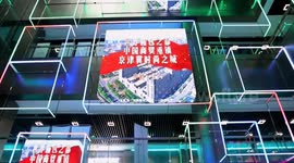 Foreign industry insiders seek cooperation in north China's bag town