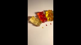 Short video showing the size comparison between regular gummy bears and tiny miniature gummy bears