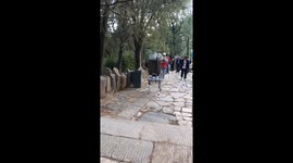 Robot dog 'porter' carries items for tourists in China