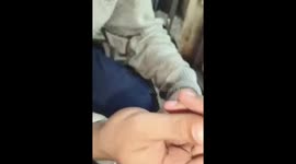 Indian man revives snake with mouth-to-mouth