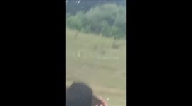 Leopard Pounces On Group Of Friends Picnicking In MP's Shahdol; Tears Off Youth's Thigh, Fractures Woman's Head