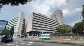 Japan: Support for Japan's opposition parties grows ahead of upcoming election