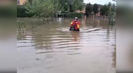 Italy: Firefighters Save Stranded Dogs Amid Emilia Romagna Floods