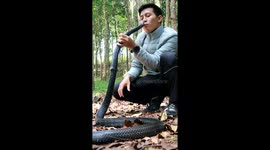 Snake Drinks From a Guy's Mouth