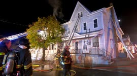 Heroic firefighters rescue homeowner's cat from blaze in Pennsylvania