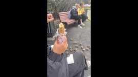 Conducting Sparrows With Hand Movements