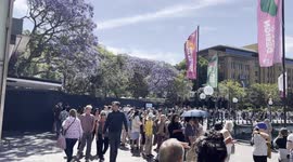 Huge queue forms around Sydney Harbour to see King Charles