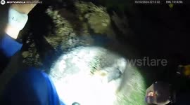 Police rescue pet dog stuck in gas line hole in Michigan