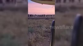 Sudanese paramilitary group claim to have shot down Russian cargo plane