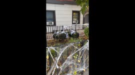 Halloween decorations in Brooklyn