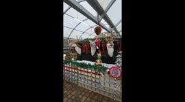 Singing reindeer at Garforth Garden Centre spark early Christmas excitement