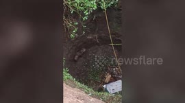 Female Hyena rescued from 40-foot well in central India after 5-hour operation