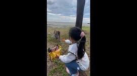 Monkey steals snack from child at Pandan Beach, Bali