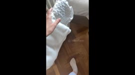 Three-year-old falls asleep in hiding spot after stealing sister's pacifier
